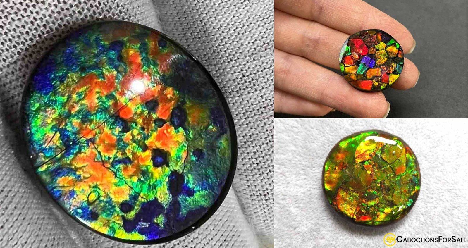 Ammolite Gemstone - GemstonesForSale