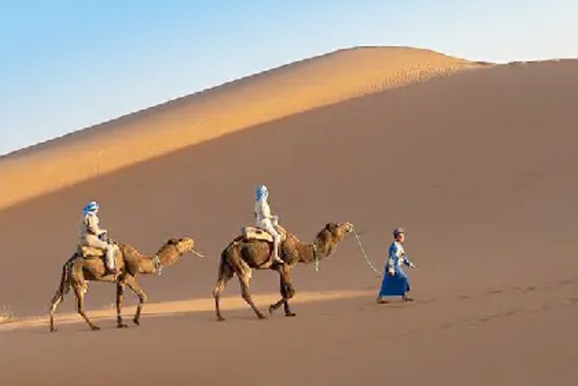 Avail Desert Safari Experiences in Dubai: A Must-Try Adventure