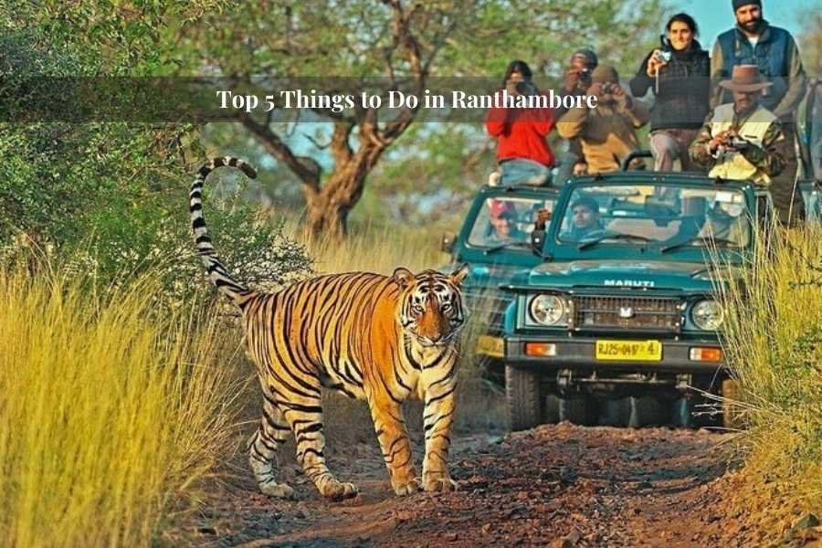 Things to Do in Ranthambore