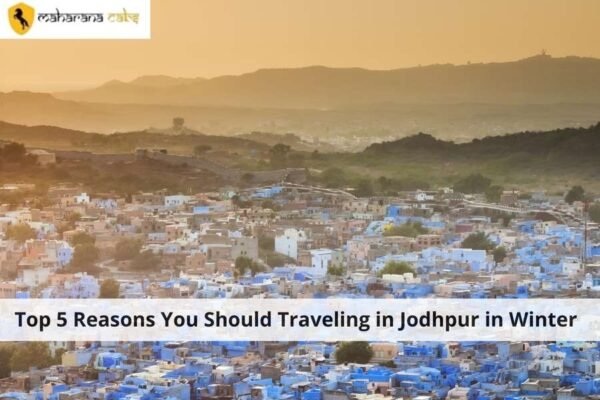 Traveling in Jodhpur in Winter