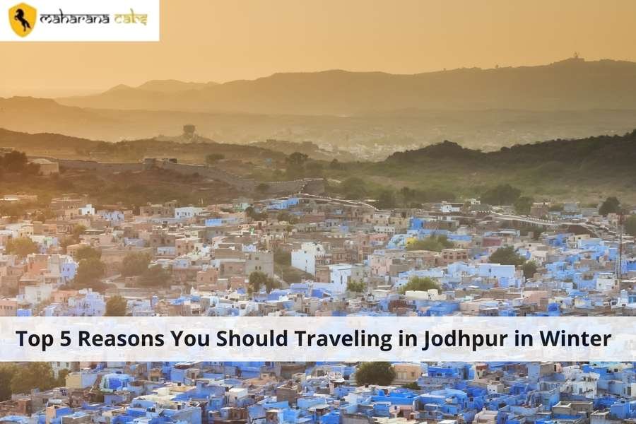 Traveling in Jodhpur in Winter