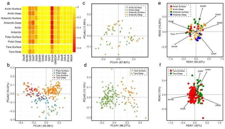 how-to-detect-microbial-sulfur-cycling-networks-by-metagenomes