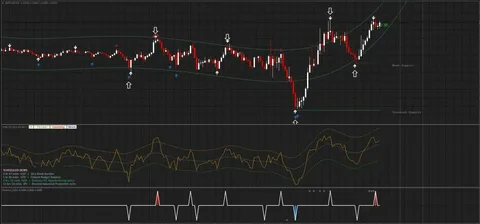 Binary Signals