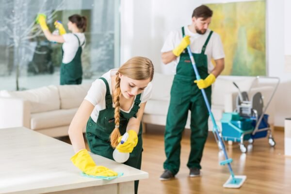 Home cleaning services richmond hill