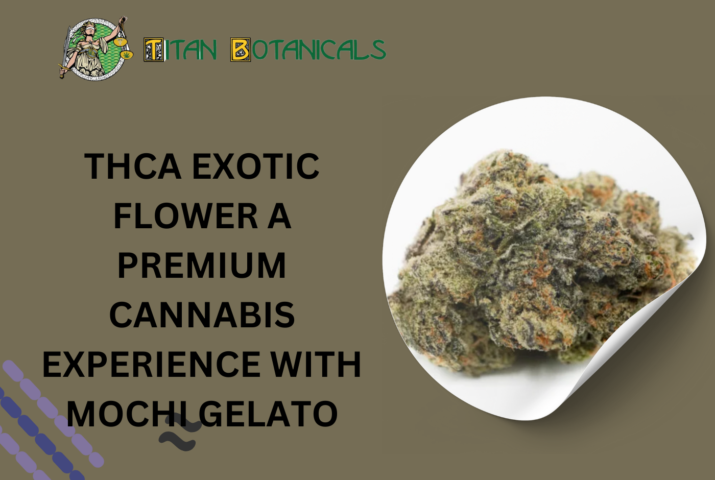 THCA Exotic Flower